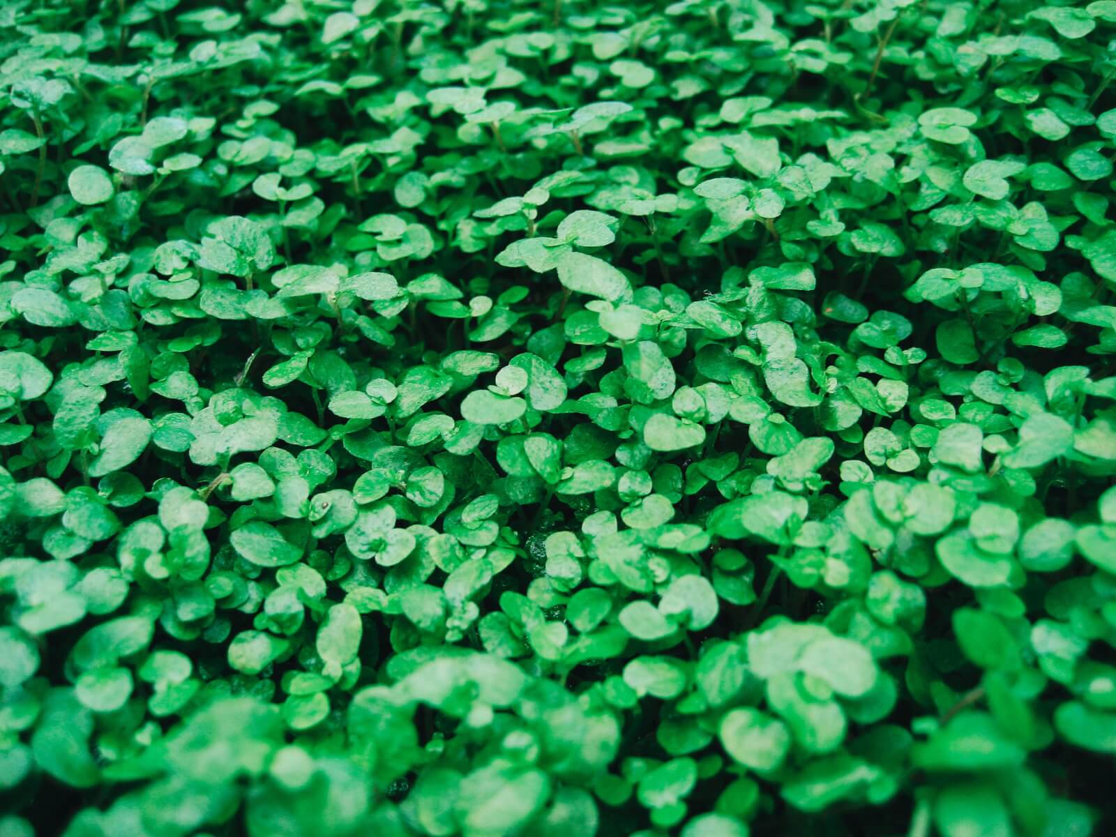 financial-blog-topics-march